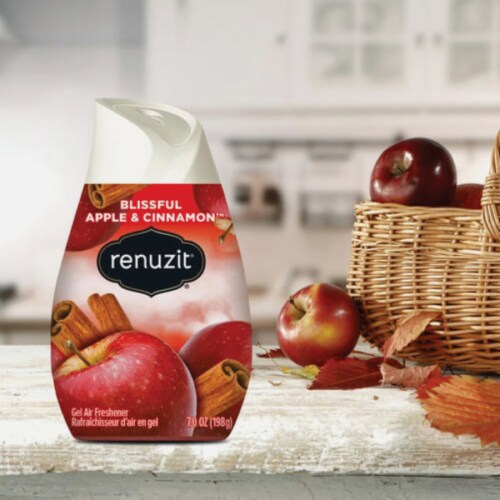 Renuzit® Apple Cinnamon Solid Air Freshener Perspective: left