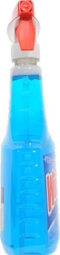 Windex With Ammonia Perspective: left