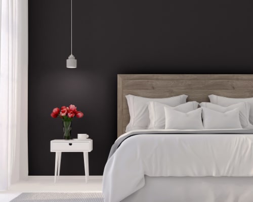 Rust-Oleum® SureColor® Interior Eggshell Paint & Primer - Black Perspective: left