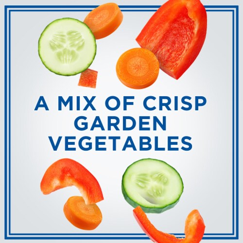Philadelphia Multigrain Bagel Chips & Garden Vegetable Cream Cheese Dip, Tray Perspective: left