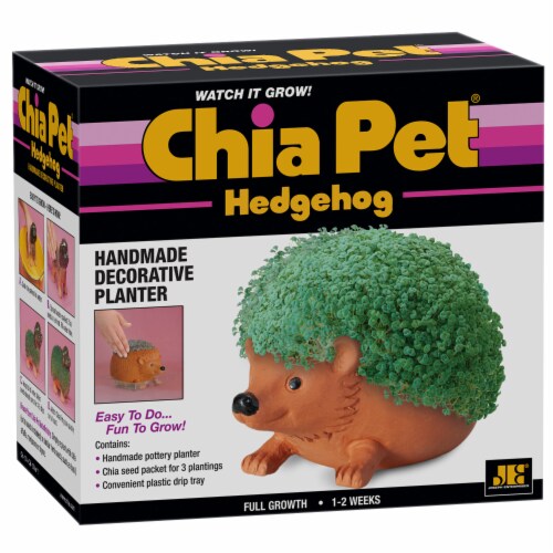 Chia Pet Hedgehog Handmade Decorative Planter Perspective: left