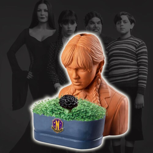 Wednesday Chia Pet Perspective: left