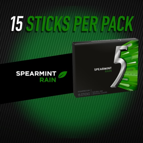 5 Gum Spearmint Rain Sugar-Free Chewing Gum, 10 pk./15 ct.