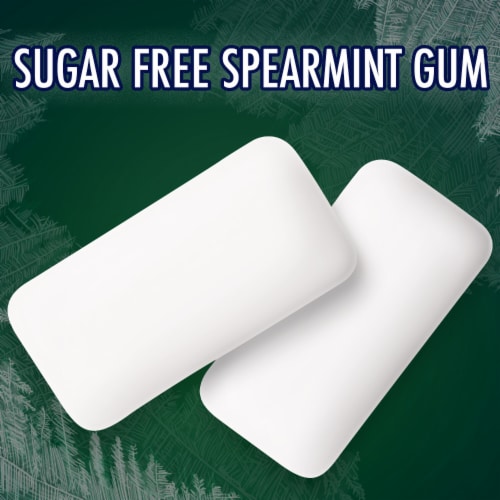 Eclipse Spearmint Sugar Free Chewing Gum Value Pack Bag Perspective: left