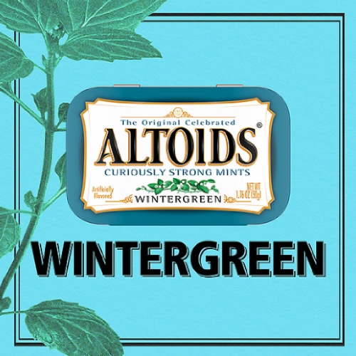 ALTOIDS Wintergreen Sugar Free Breath Mints Single Pack Perspective: left