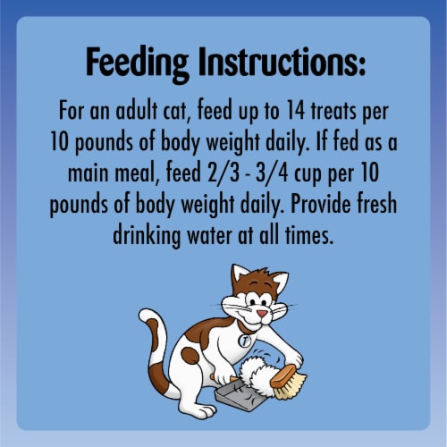 Adult online cat feeding