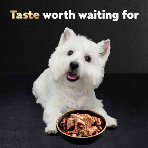 Cesar Loaf & Topper In Sauce Angus Beef Bacon & Cheese Adult Soft Wet Dog Food Perspective: left