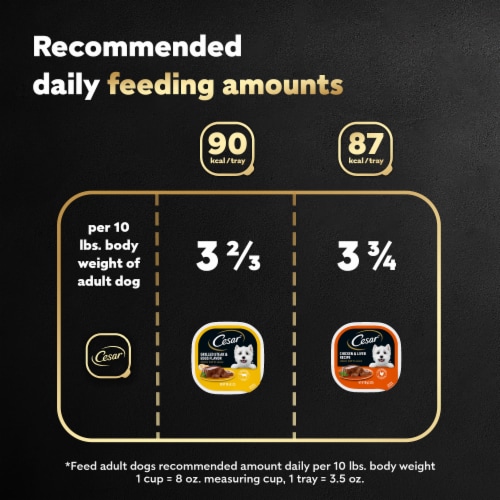 Cesar Breakfast and Dinner Mealtime Adult Wet Dog Food Perspective: left