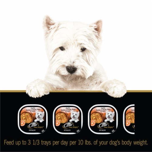 Cesar® Home Delights™ Hearty Chicken & Noodle Dinner Wet Dog Food Tray Perspective: left