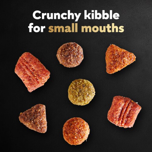 Cesar Small Breed Dry Dog Food Filet Mignon Flavor with Spring Vegetables Garnish Perspective: left