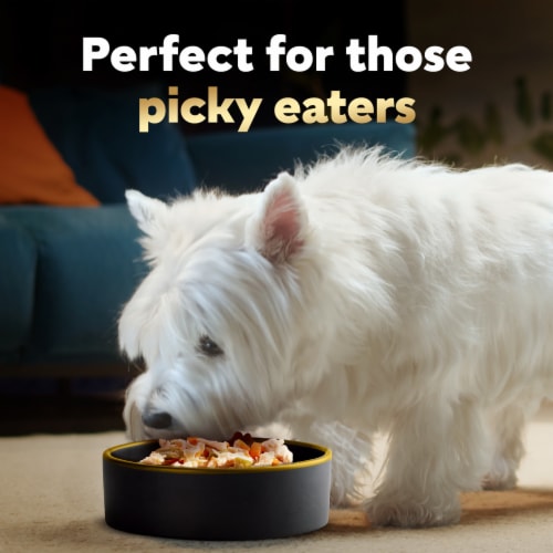 Cesar Simply Crafted Adult Wet Dog Food Topper Chicken Carrots Potatoes & Chicken Sweet Potato Apple Perspective: left
