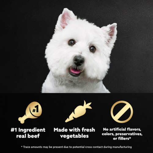 Cesar Wholesome Bowls™ Chicken Beef Purple Potatoes & Carrots Adult Soft Wet Dog Food Topper Perspective: left