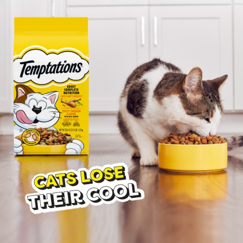 Temptations Complete Nutrition Tasty Chicken Flavor Adult Dry Cat Food Perspective: left