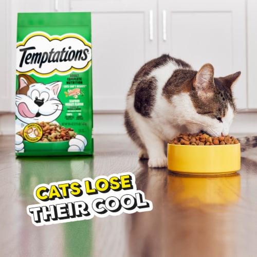 Temptations Complete Nutrition Seafood Medley Flavor Adult Dry Cat Food Perspective: left