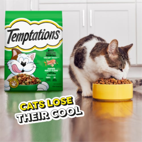 Temptations Complete Nutrition Seafood Medley Flavor Adult Dry Cat Food Perspective: left