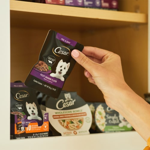 Cesar Filets in Gravy Wet Dog Food Mini-Pouch Filet Mignon Perspective: left