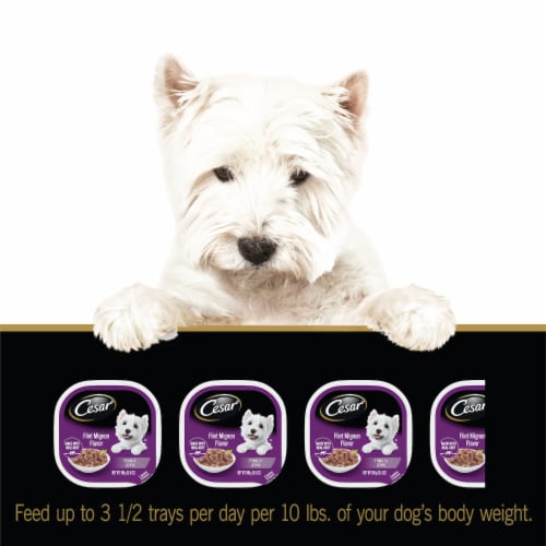 Cesar® Filets in Gravy Filet Mignon Flavor Wet Dog Food Perspective: left