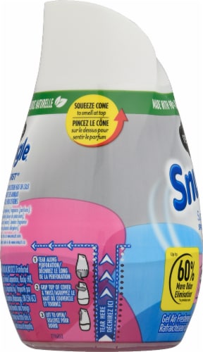 Renuzit Snuggle Super Fresh Spring Burst Gel Air Freshener Perspective: left