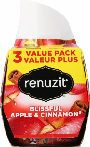 Renuzit Blissful Apple & Cinnamon Gel Air Fresheners Perspective: left