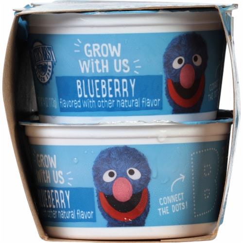 Earth’s Best® Low Fat Blueberry Yogurt Perspective: left