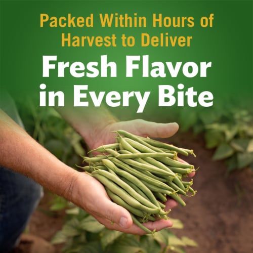 Del Monte Blue Lake Cut Green Beans Perspective: left