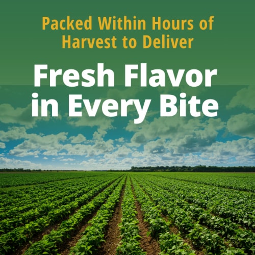 Del Monte Harvest Selects Cut Golden Wax Beans Perspective: left
