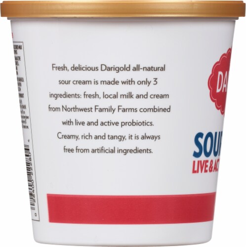 Darigold® Original Sour Cream Perspective: left