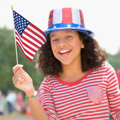 Annin Flagmakers American Hand Flag Perspective: left