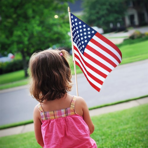 Annin Flagmakers American Hand Flag Perspective: left