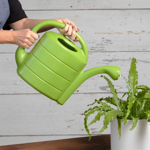 Novelty Poly Watering Can Perspective: left