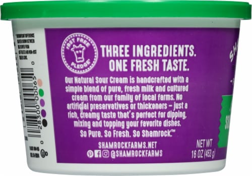 Shamrock Farms® Natural Sour Cream Perspective: left