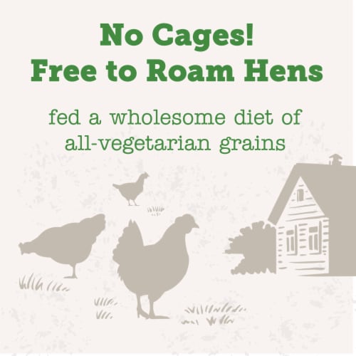 FARMHOUSE EGGS Large Brown Cage Free Eggs, 18 Count Perspective: left