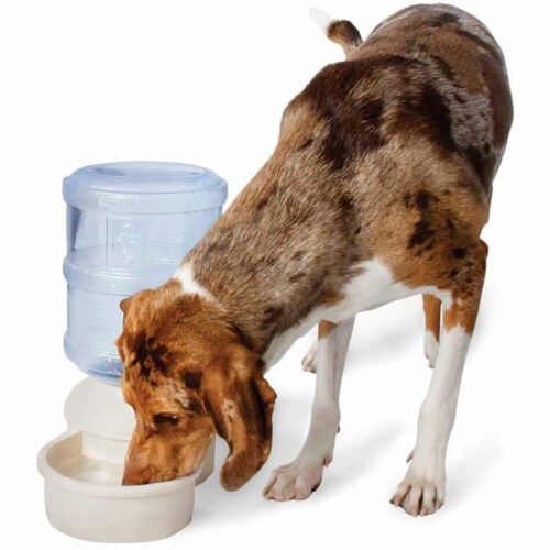 4 gallon water dispenser for dogs sale