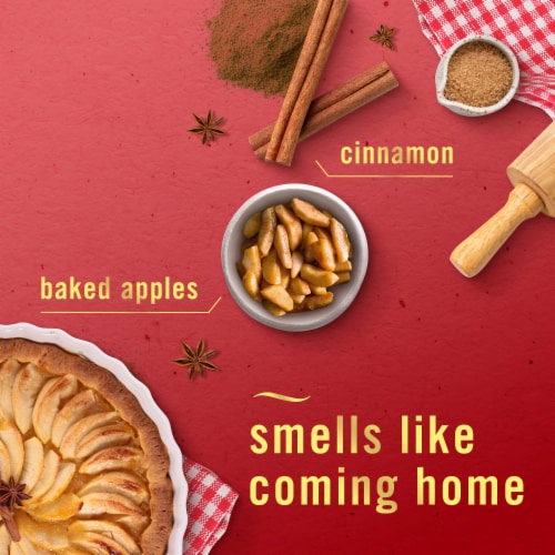 Febreze Air Effects Odor-Fighting Air Freshener Apple Cider Aerosol Can Perspective: left