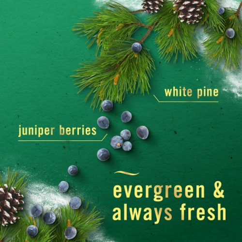 Febreze Air Effects Odor-Fighting Air Freshener Winter Spruce Aerosol Can Perspective: left
