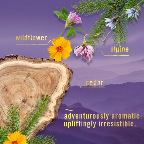 Febreze Mountain Scent Odor-Fighting Air Freshener Aerosol Can Perspective: left