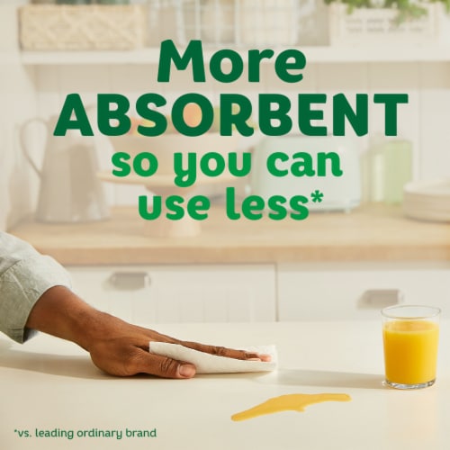 Bounty Select-A-Size Paper Towels Double Rolls Perspective: left