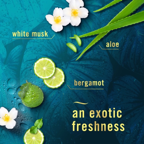 Febreze Air Mist, Odor-Fighting Air Freshener Rainforest Perspective: left