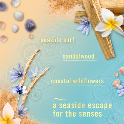 Febreze Air Freshener Spray Odor-Fighting Room Spray Warm Ocean Breeze Scent Perspective: left