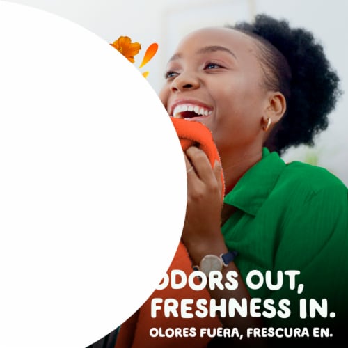 Gain Island Fresh Powder Laundry Detergent Perspective: left