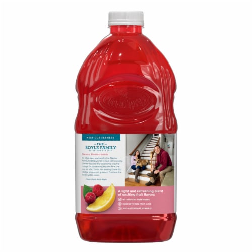 Ocean Spray® Fruta Frescas Cranberry Lemon Raspberry Flavored Juice Drink Perspective: left