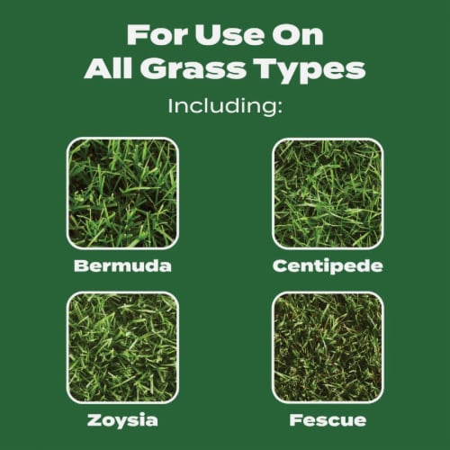 Scotts® Turf Builder® Lawn Food Perspective: left