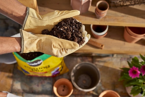 Miracle-Gro® Potting Mix Perspective: left