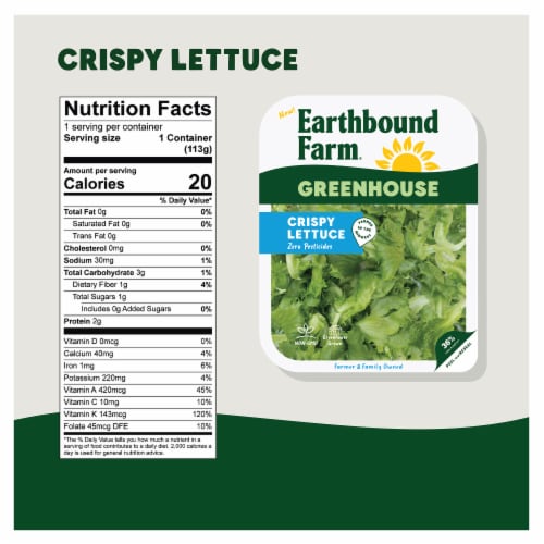 Earthbound Farm® Greenhouse Crisp Lettuce Perspective: left