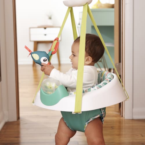 Evenflo exersaucer tiny sales tropics