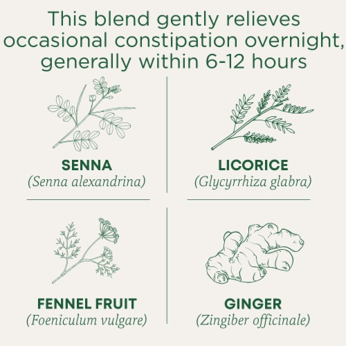 Traditional Medicinals Organic Smooth Move Tea Perspective: left