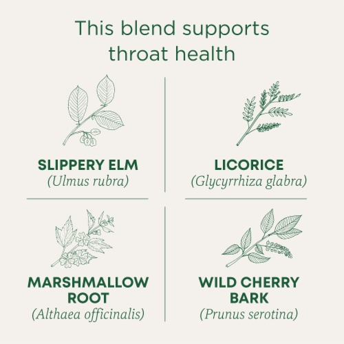 Traditional Medicinals Organic Throat Coat Tea Perspective: left