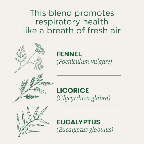 Traditional Medicinals Breathe Easy Tea Perspective: left