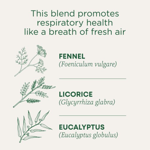 Traditional Medicinals Breathe Easy Tea Perspective: left