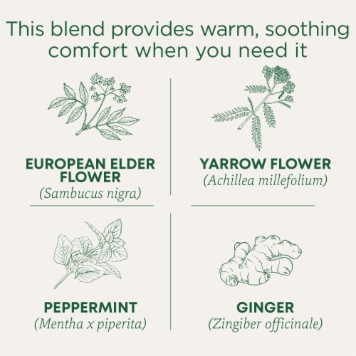 Traditional Medicinals Organic Herbal Cold Care Tea Perspective: left